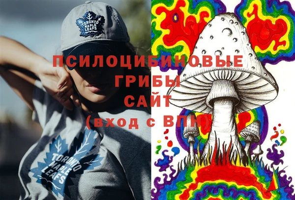 ALPHA-PVP Ельня