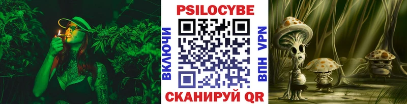 Галлюциногенные грибы Psilocybine cubensis  что такое наркотик  Коломна 